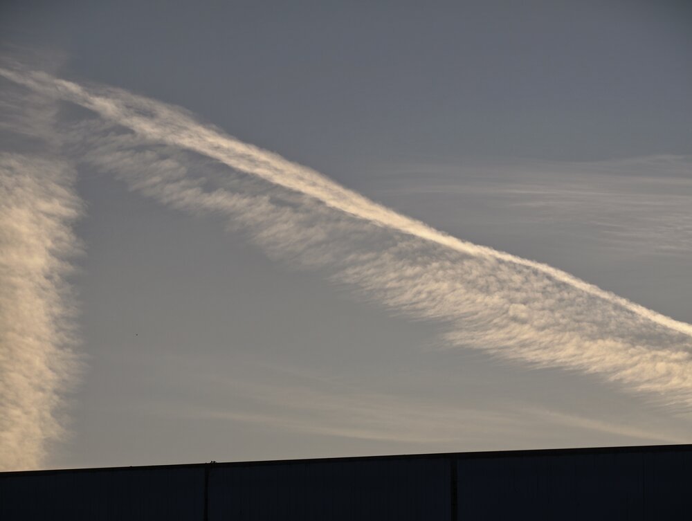 Photo #13771967