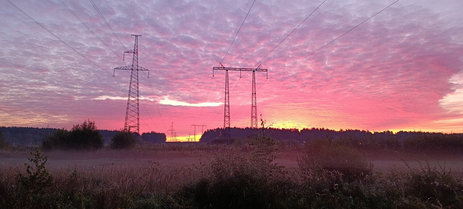 Photo #13772000