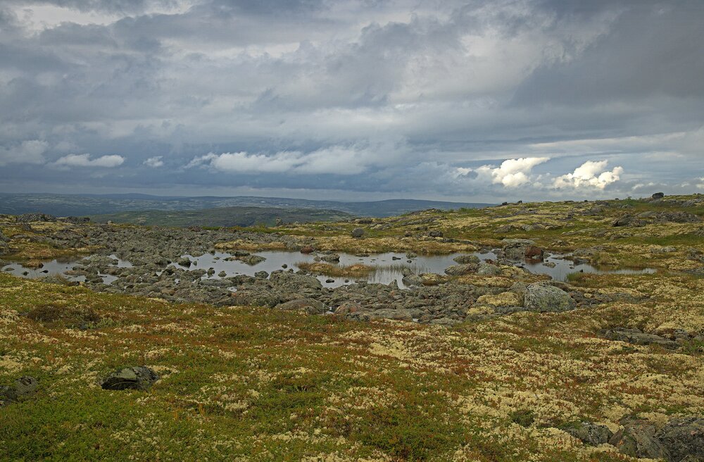 Photograph by Борис Чернов