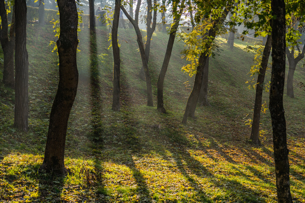 Photograph by Константин Яковлев