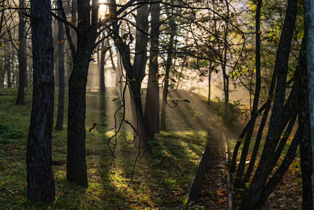 Photograph by Константин Яковлев
