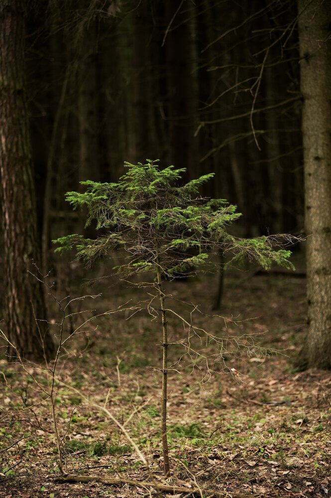 Photograph by Владимир Леликов-Кузьменко