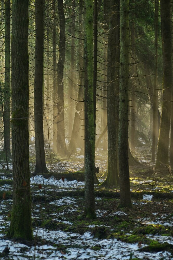 Photograph by Владимир Леликов-Кузьменко