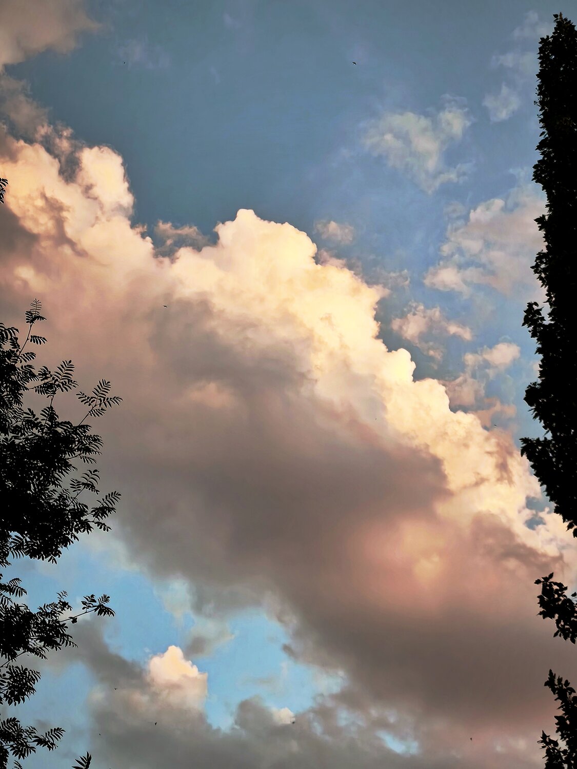 Photo #13772064