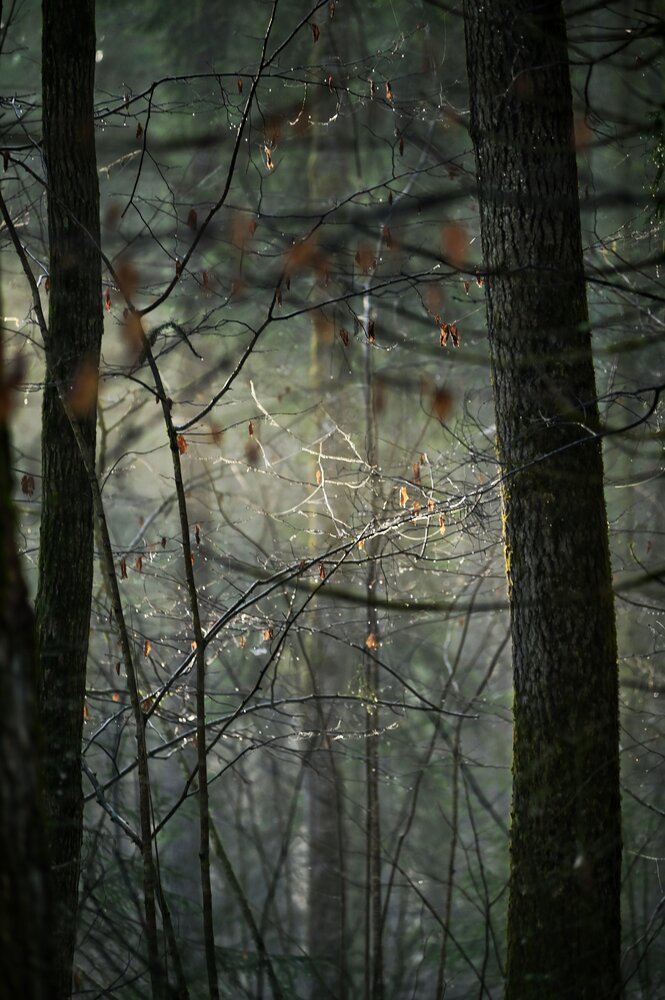 Photograph by Владимир Леликов-Кузьменко