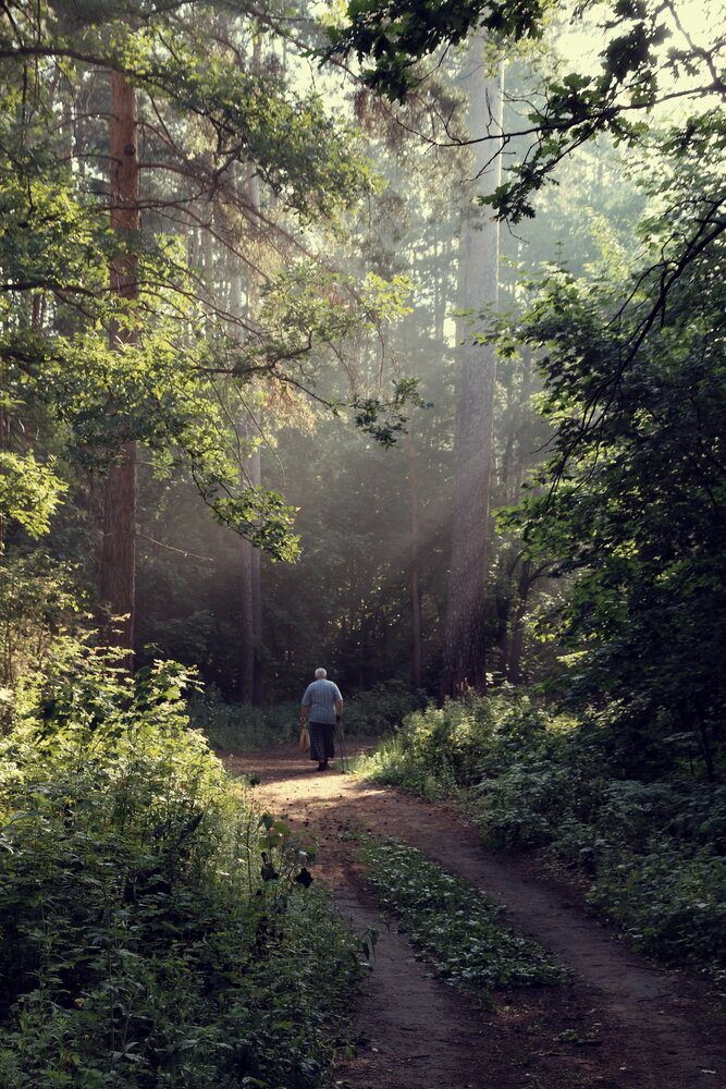Photograph by Юрий Звонарев