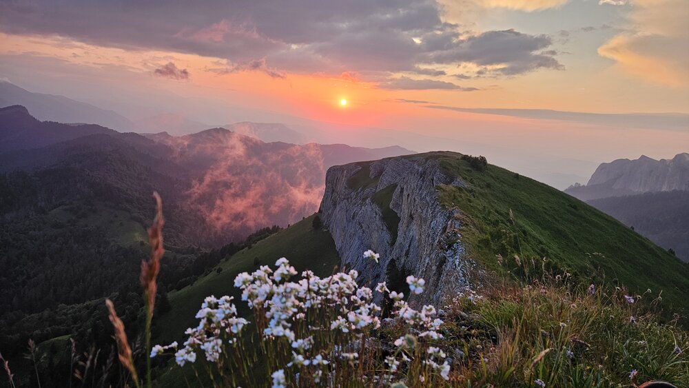 Photograph by Анастасия