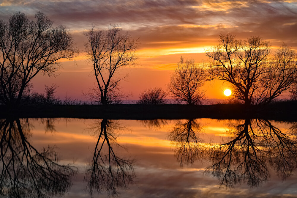 Photograph by Алексей Мякота