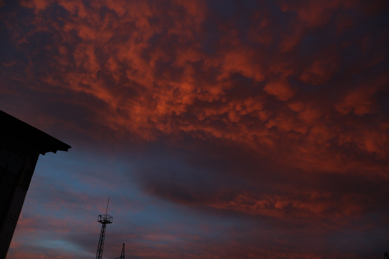 Photo #13772233