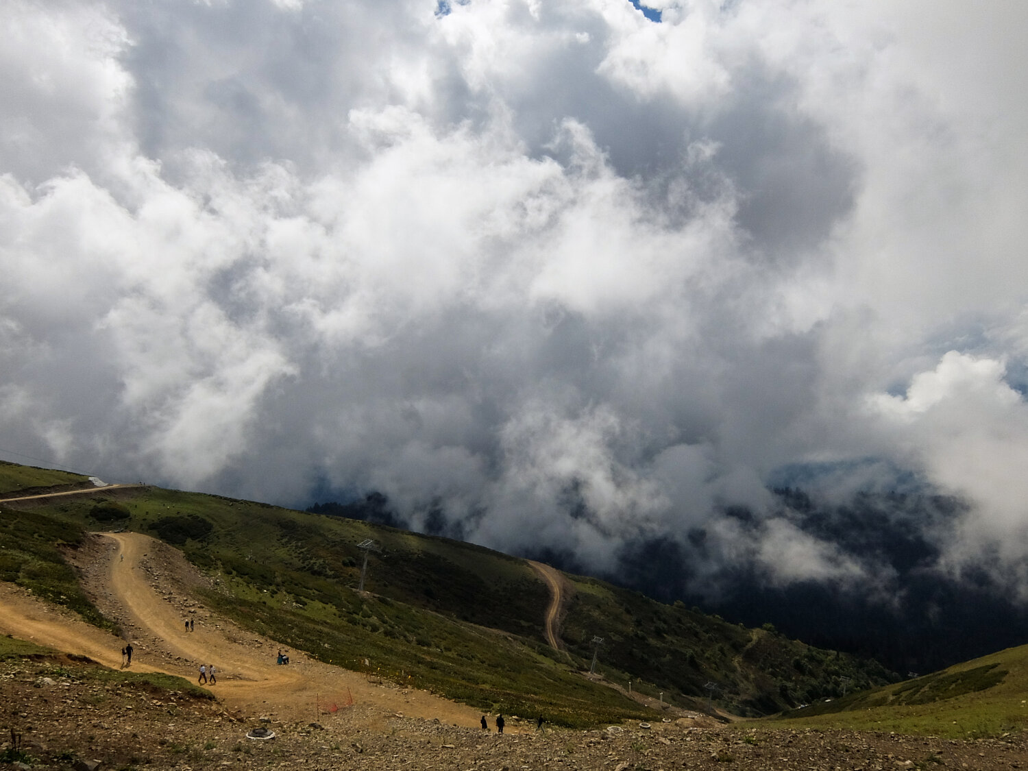 Photo #13772240
