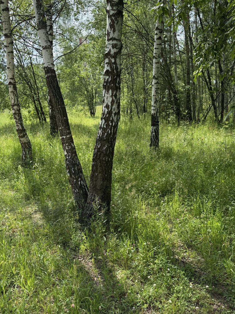 Фотография автора Галина Санчирова