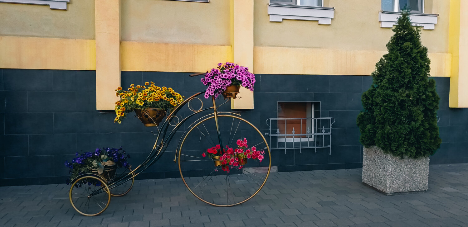 Photo #13772333