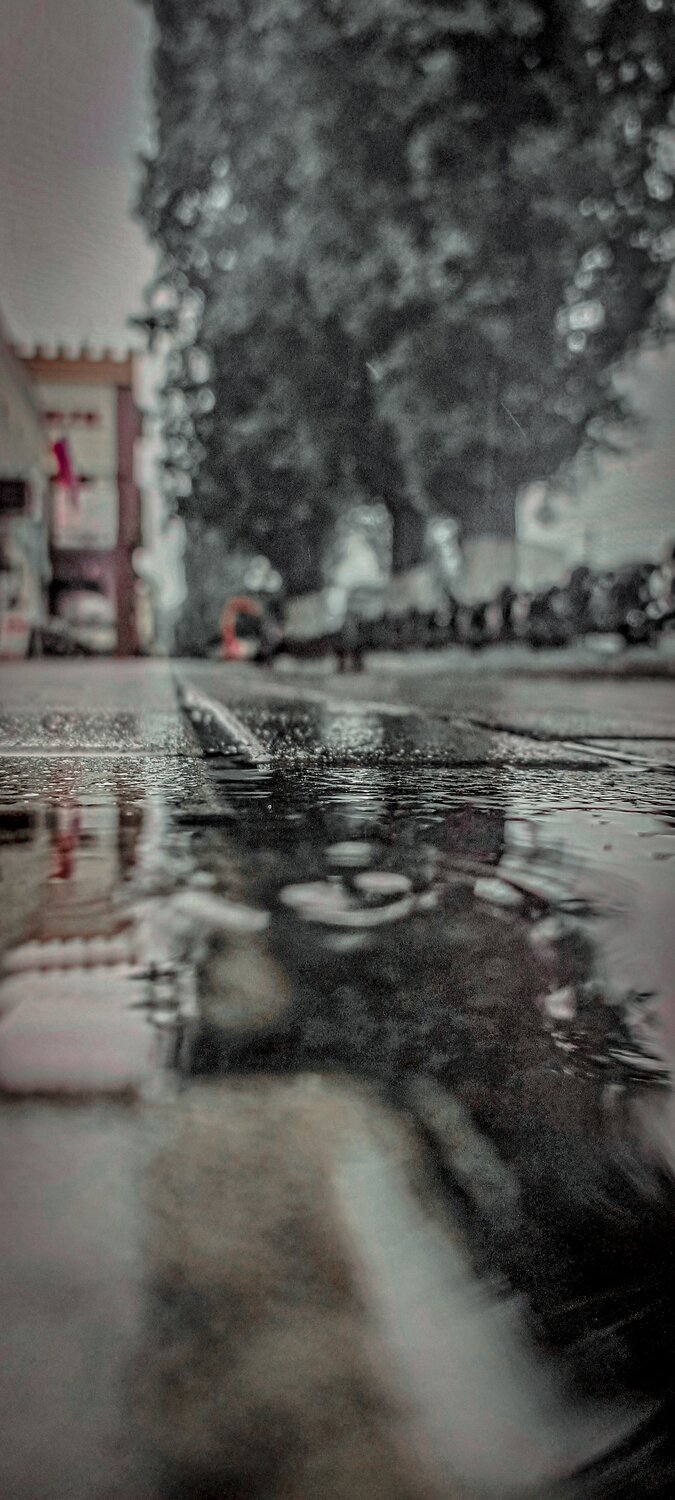Photo #13772335
