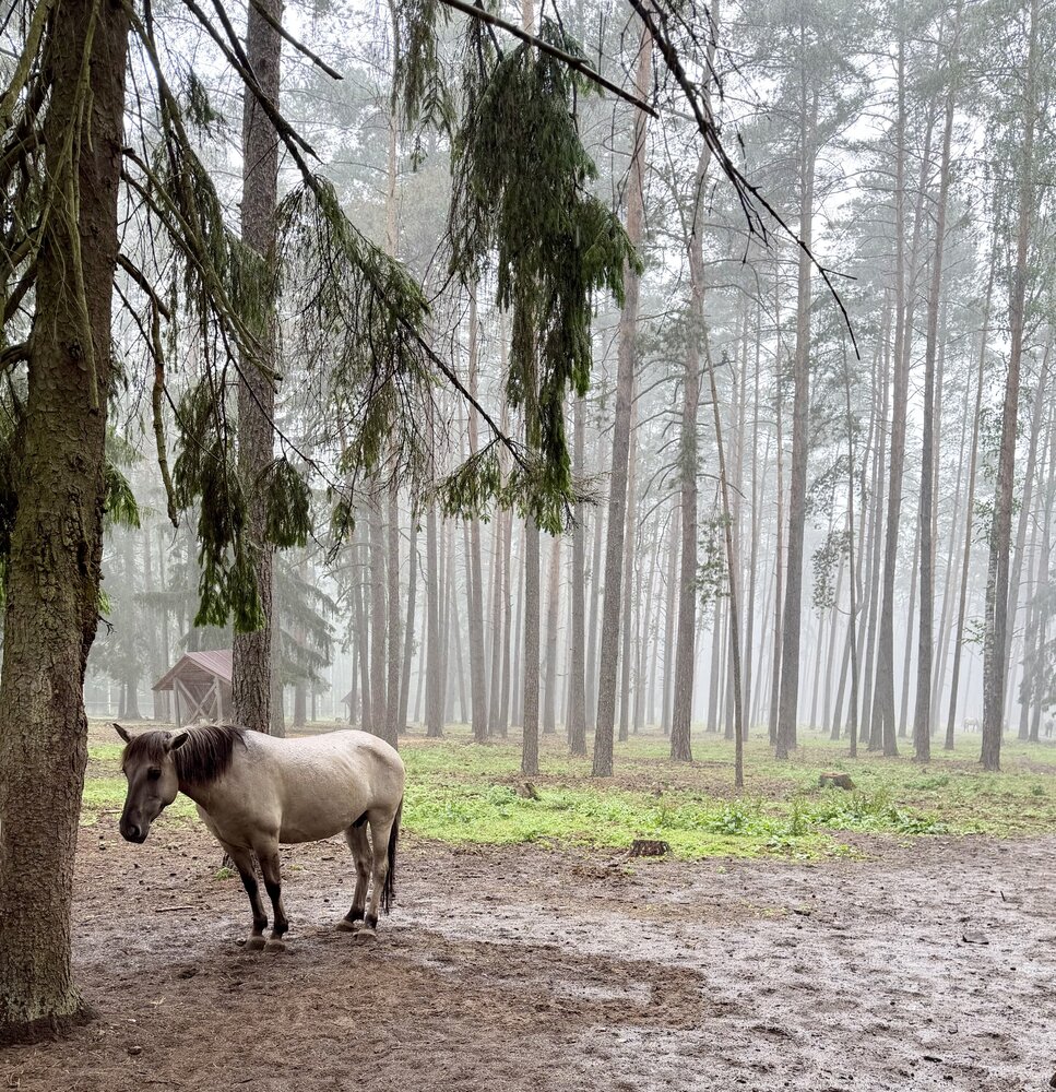 Photo #13772357