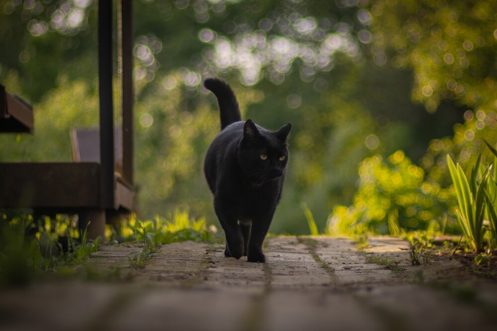 Photograph by Хабаров Сергей