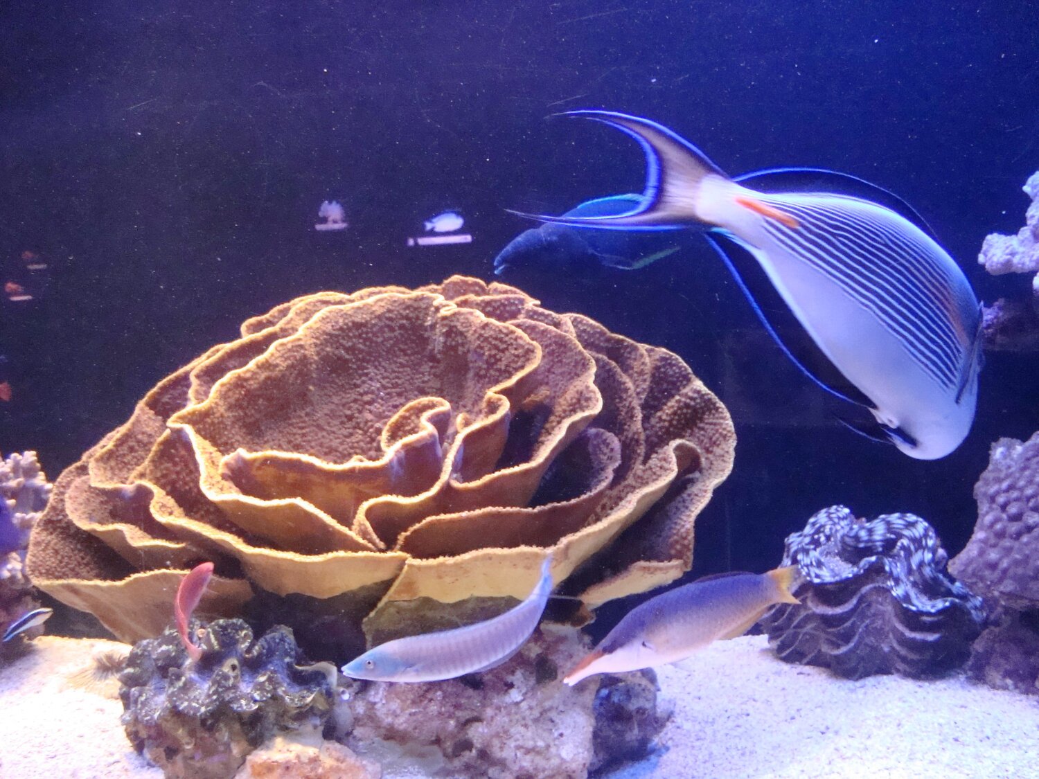 Photo #13772487