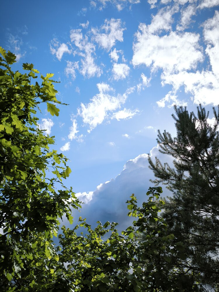 Photograph by Анна Янчилина