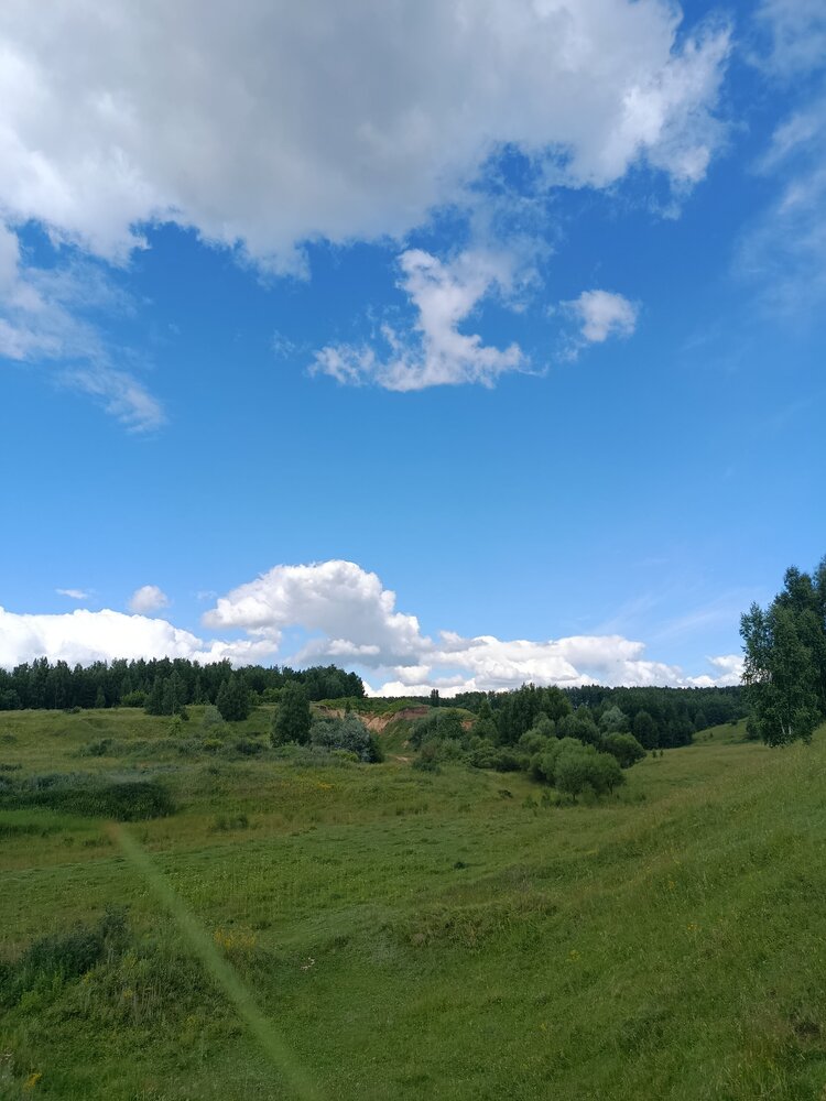 Photo #13772512