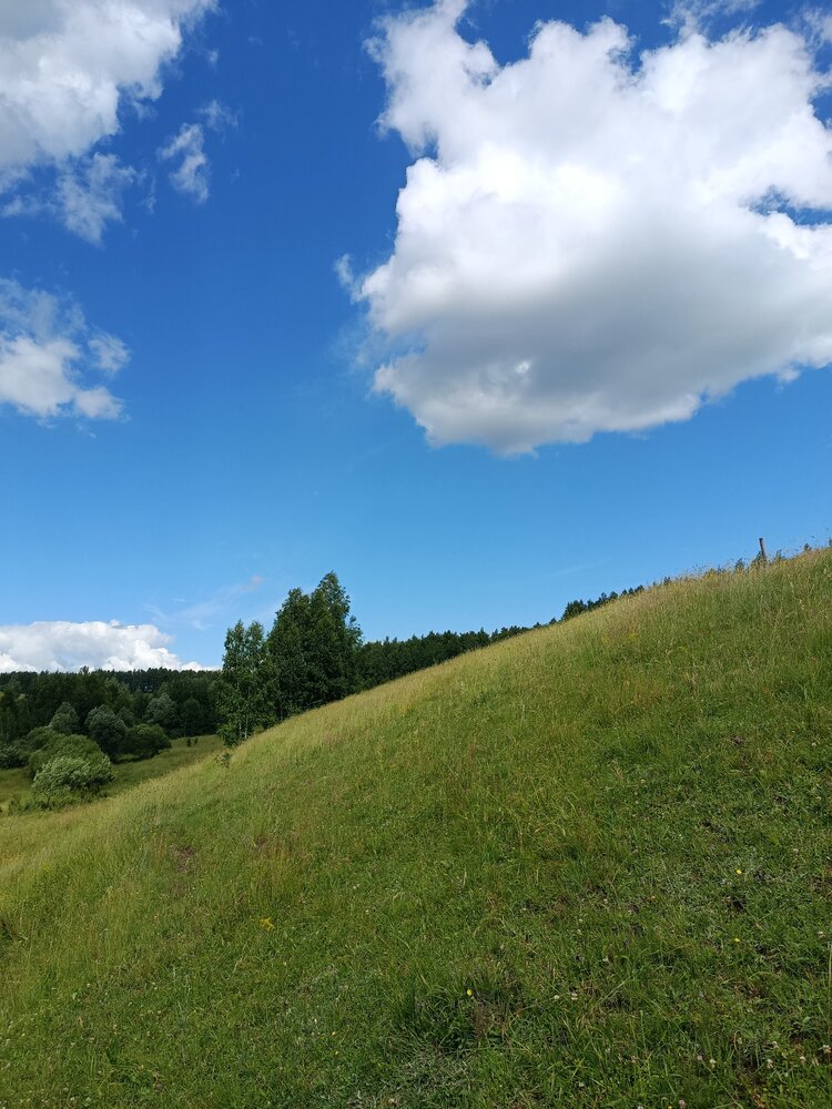 Photo #13772515