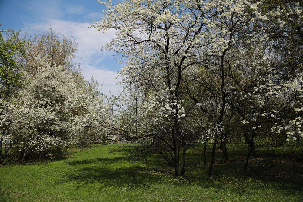 Photograph by Ольга Шабалина