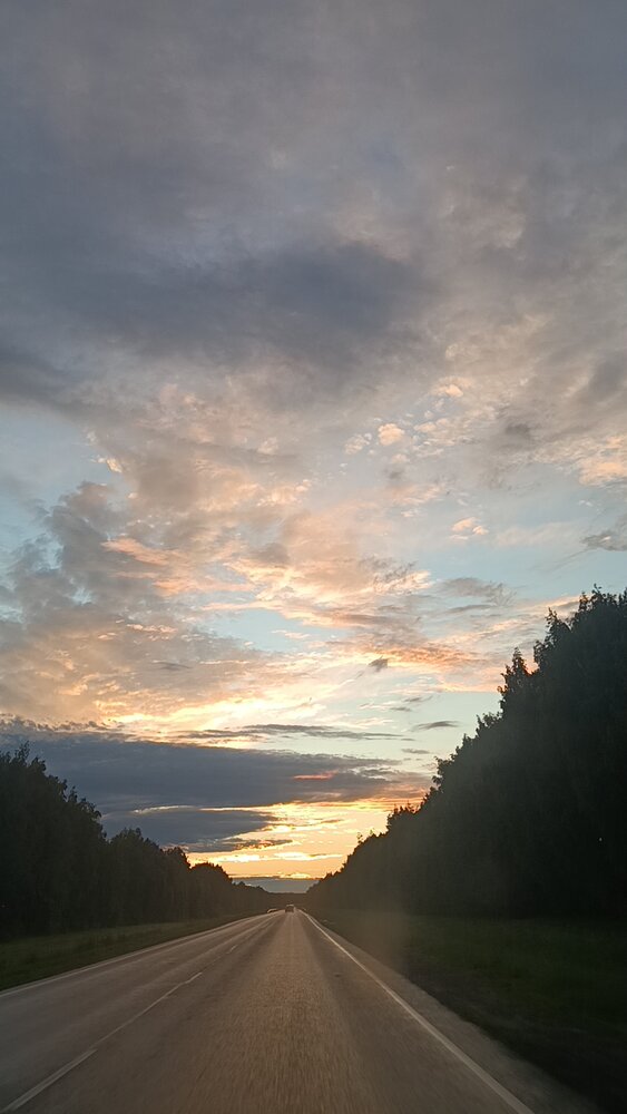 Photo #13772519