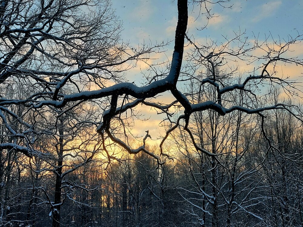 Photograph by Павел Алексеев
