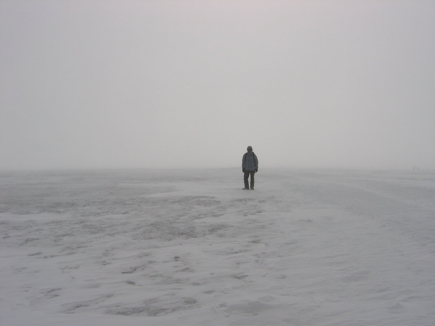 Photo #13772545