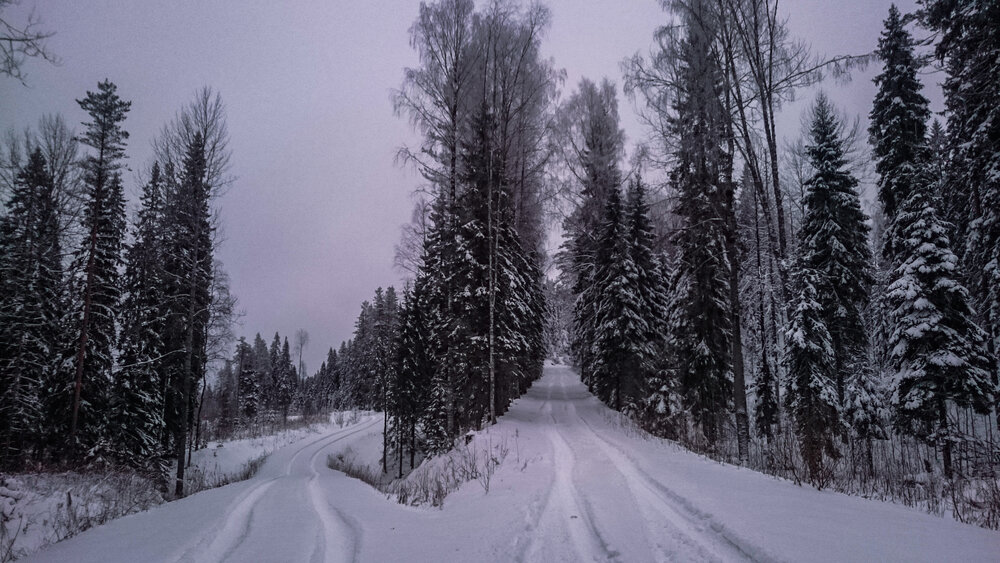 Photo #13772565