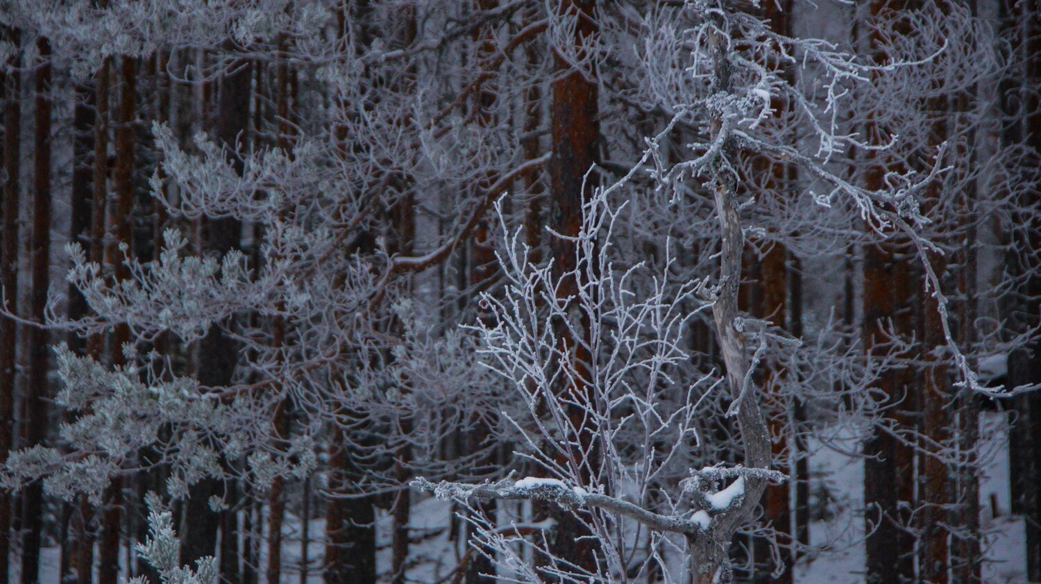 Photo #13772580