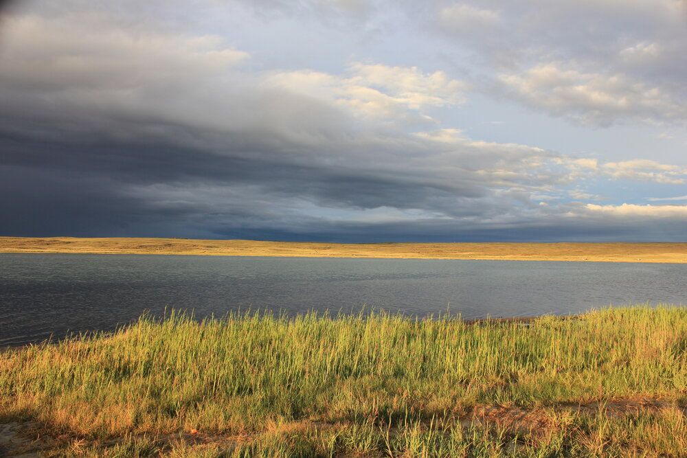 Photograph by Елена Поспелова