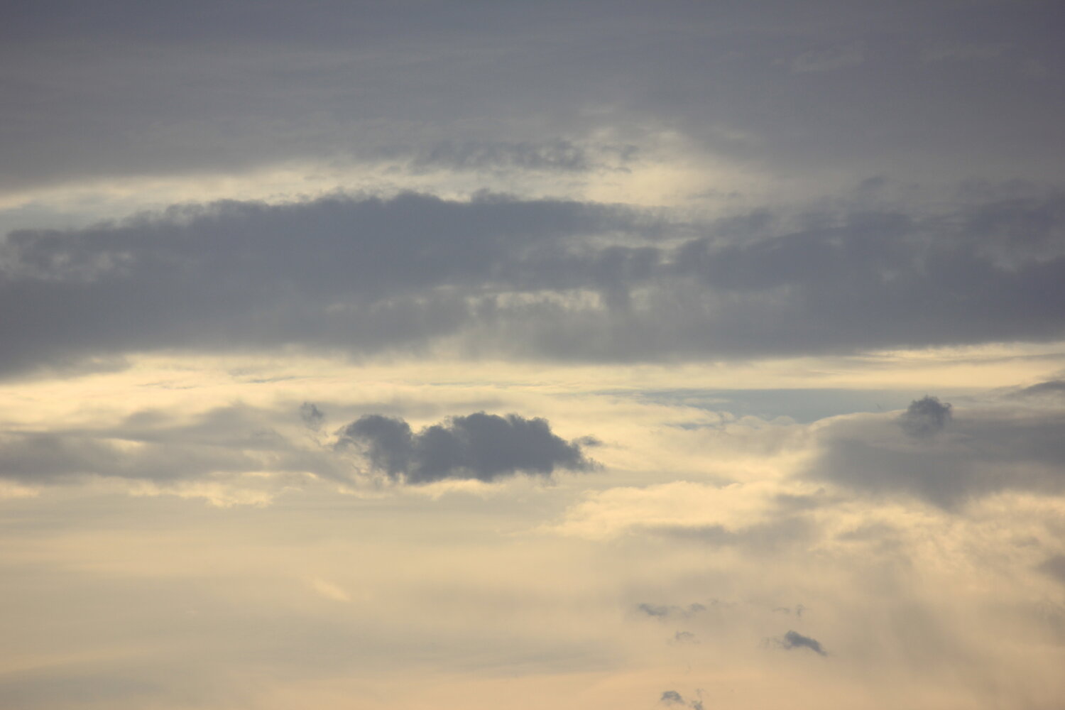 Photo #13772632