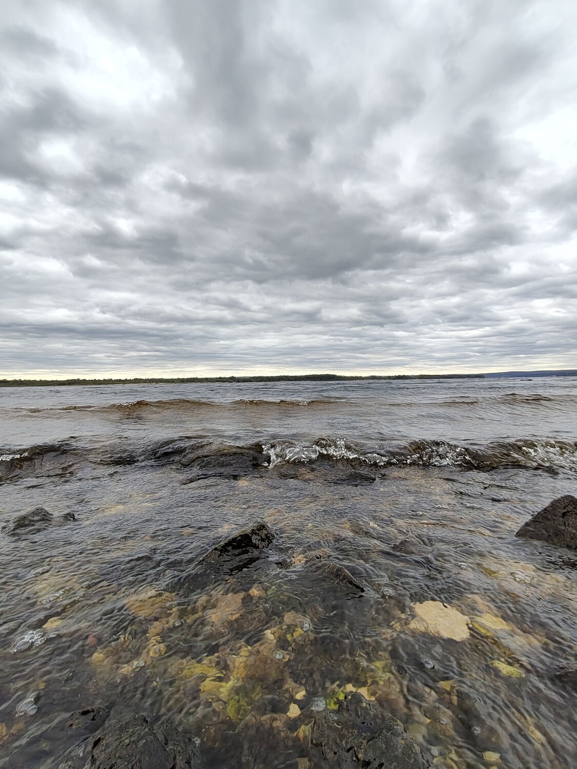 Photo #13772640