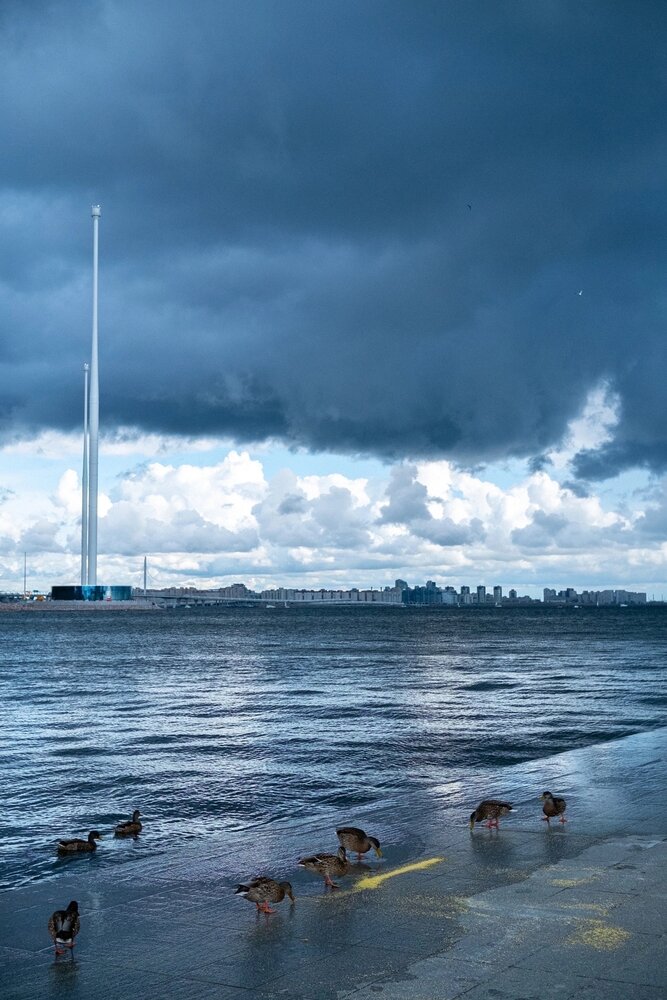 Photograph by Anastasia Vladimirovna