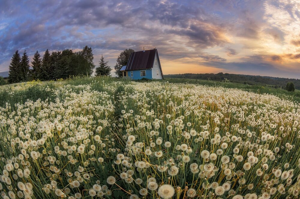 Фотография автора Марина Мурашова