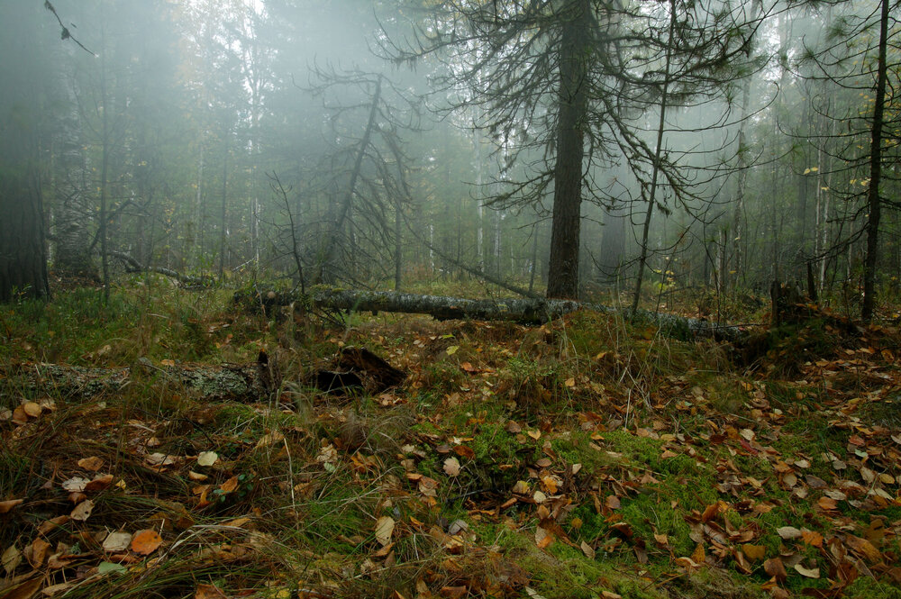 Photo #13772833