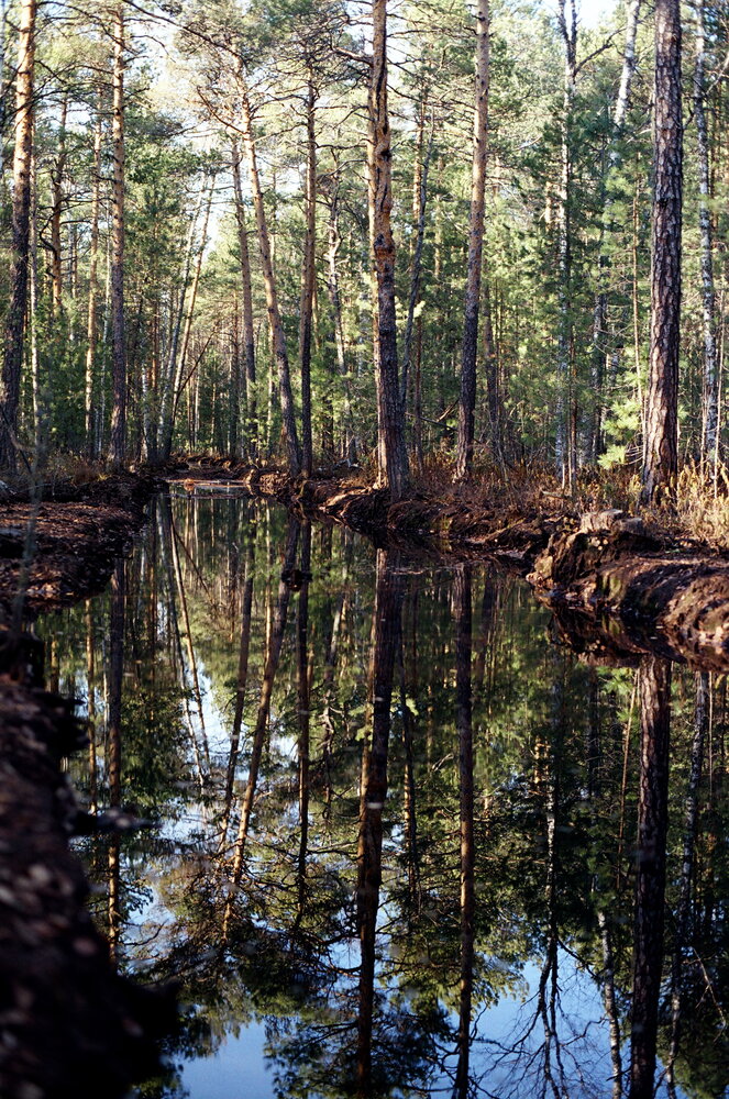 Photograph by Михаил Дронов