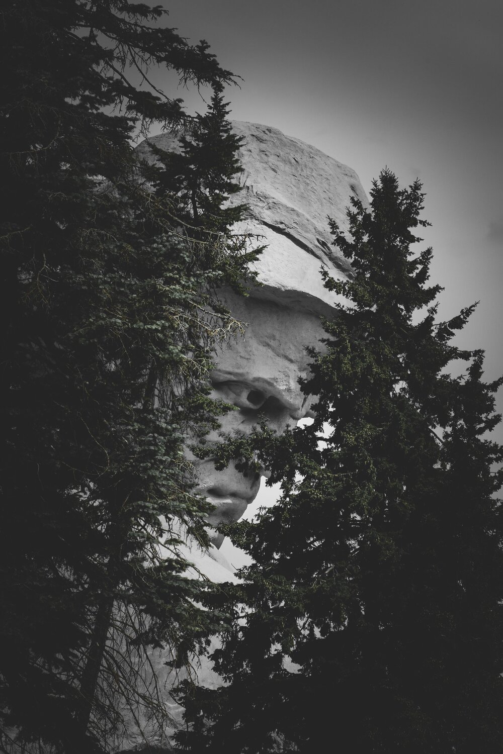 Photo #13772846