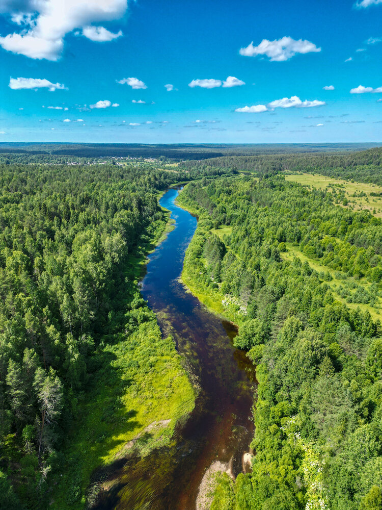 Photograph by Максим Скоробогатый