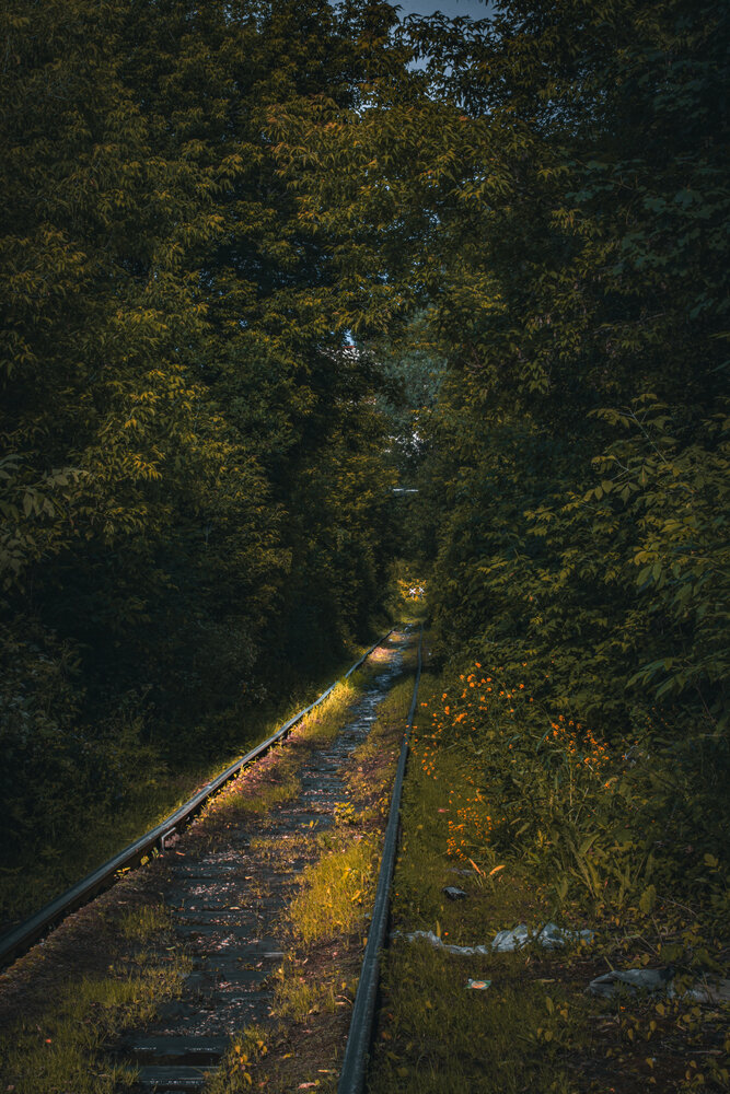Фотография автора 