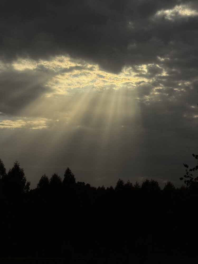 Photograph by Ксения Гулькова