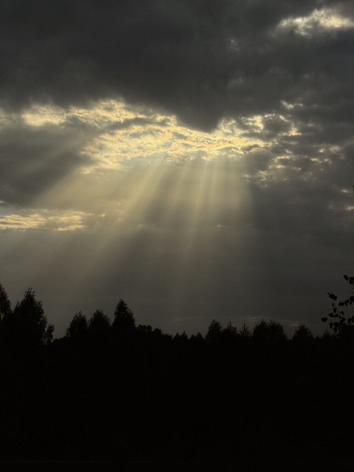 Photo #13773026