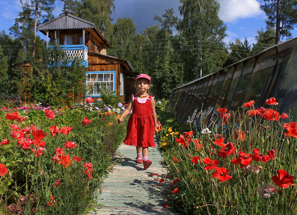 Photograph by Татьяна