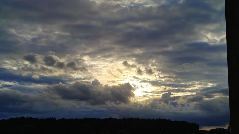 Photo #13773151