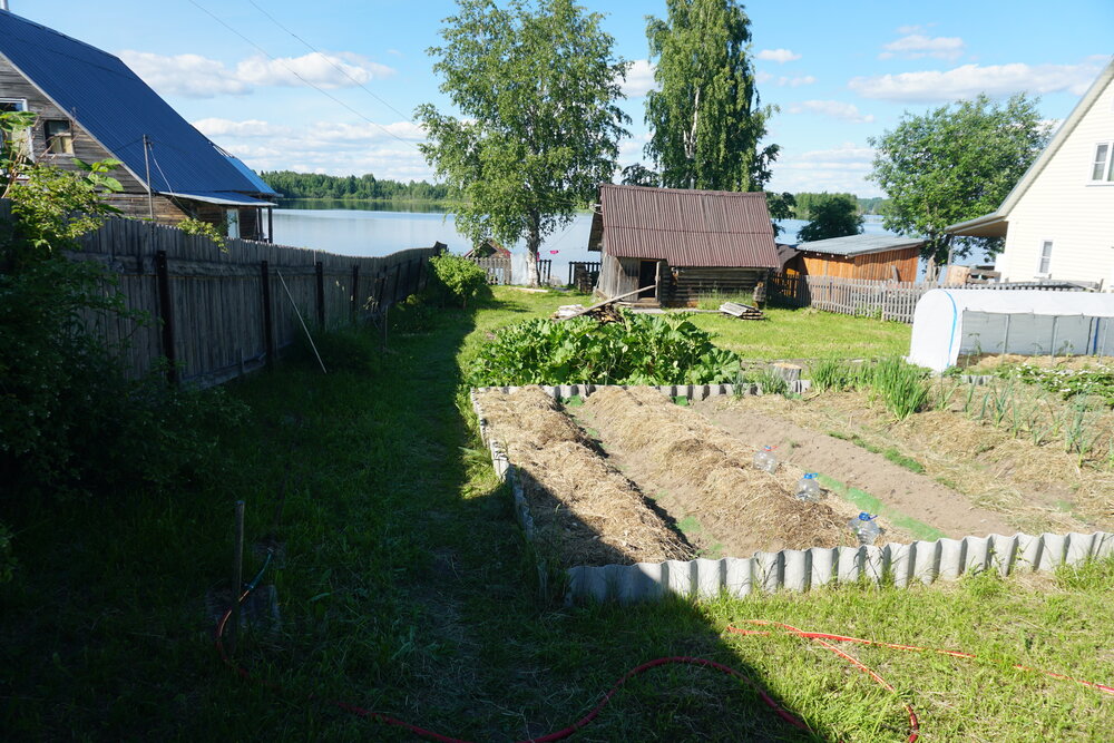 Photo #13773168