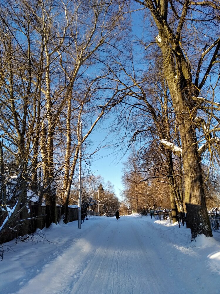 Photograph by Елена Эйнова