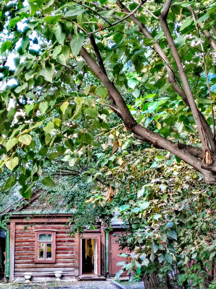 Photograph by Елена Эйнова