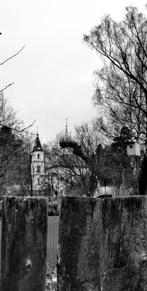 Photo #13773174