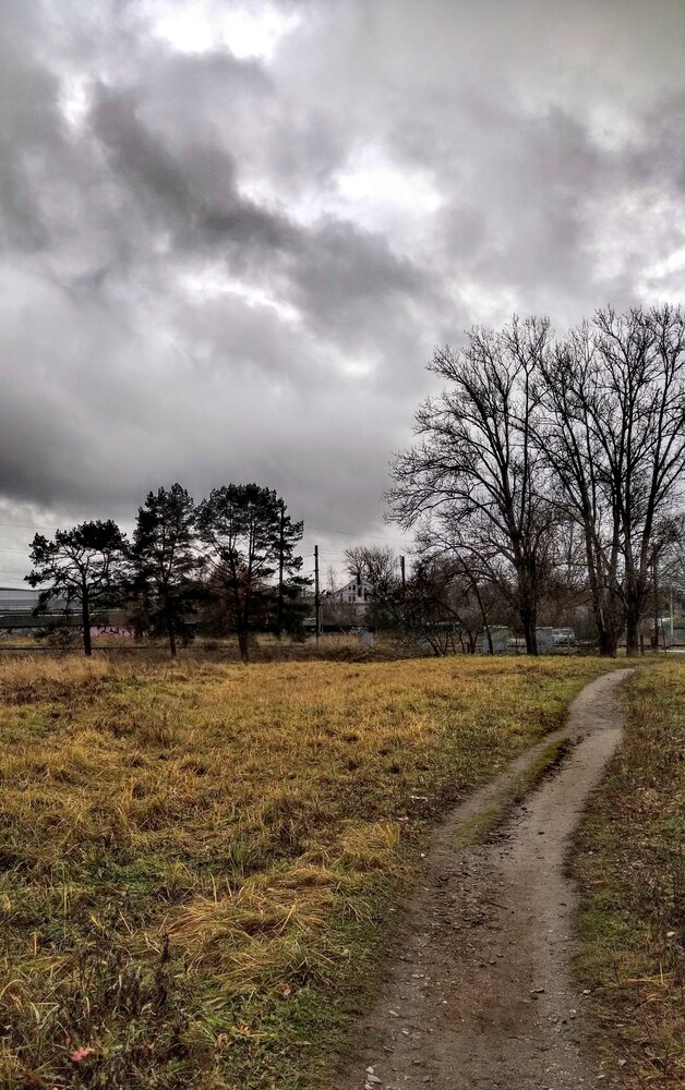 Photograph by Елена Эйнова