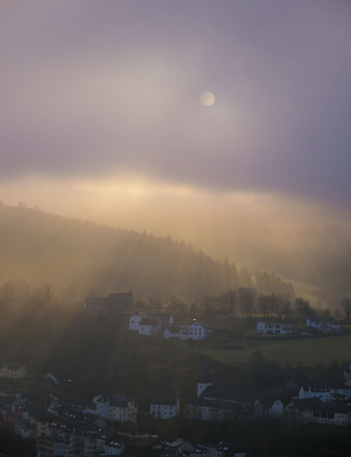 Photo #13773178