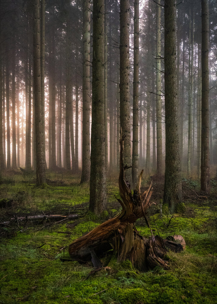 Photograph by Olga Schmidt